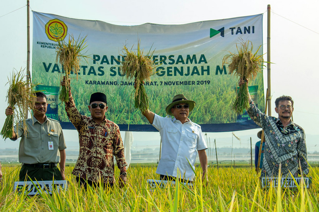 Menteri Pertanian Syahrul Yasin Limpo (kanan) bersama Kepala Staf Kepresidenan yang juga Ketua Umum Himpunan Kerukunan Tani Indonesia (HKTI) Moeldoko (kedua kanan) didampingi Wakil Bupati Karawang Ahmad Zamakhsyari (kedua kiri) melakukan panen padi varietas super genjah M70D di Desa Curug, Klari, Karawang, Jawa Barat, Kamis, 07 November 2019.
