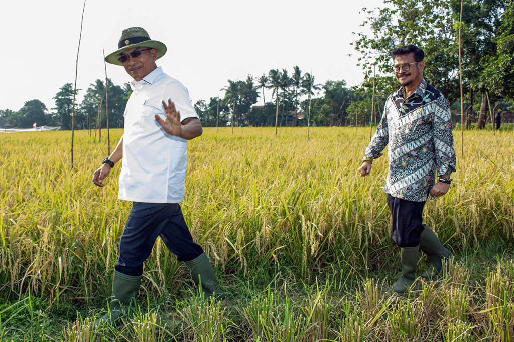 Mentan mengapresiasi hasil panen padi varietas terbaru tersebut. SYL mengatakan jika upaya yang dilakukan oleh Moeldoko merupakan salah satu upaya intensifikasi pertanian yang harus didukung. 