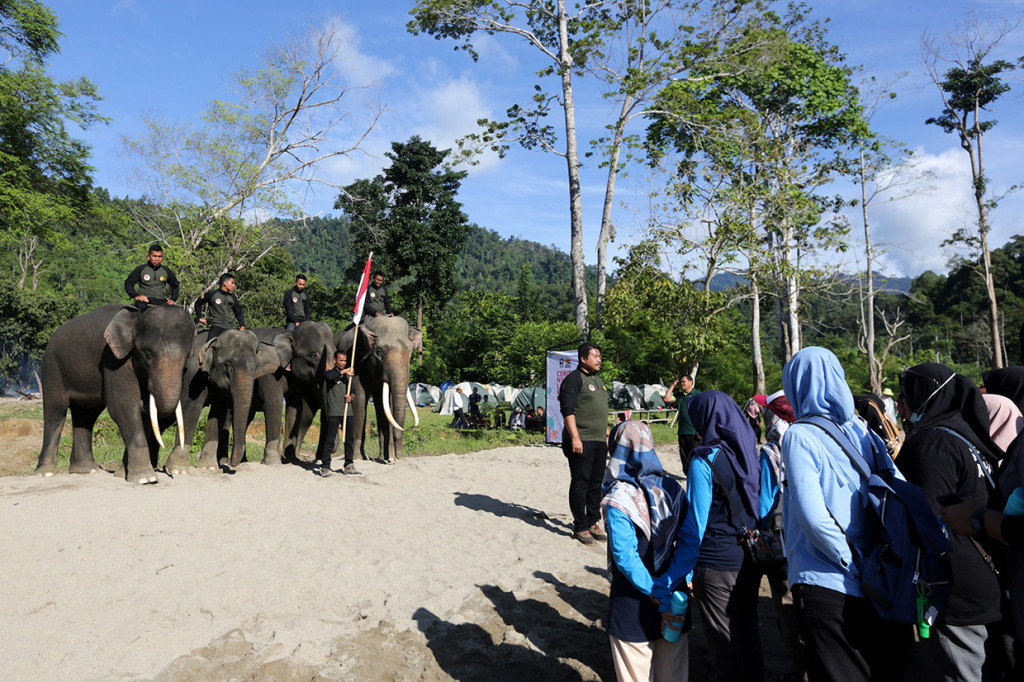 Para pawang gajah (mahout) dan peserta kemping 100 tenda mengikuti kegiatan peringatan hari pahlawan di Conservation Response Unit (CRU) Sampoiniet, Aceh Jaya, Aceh. Antara Foto/Irwansyah Putra
