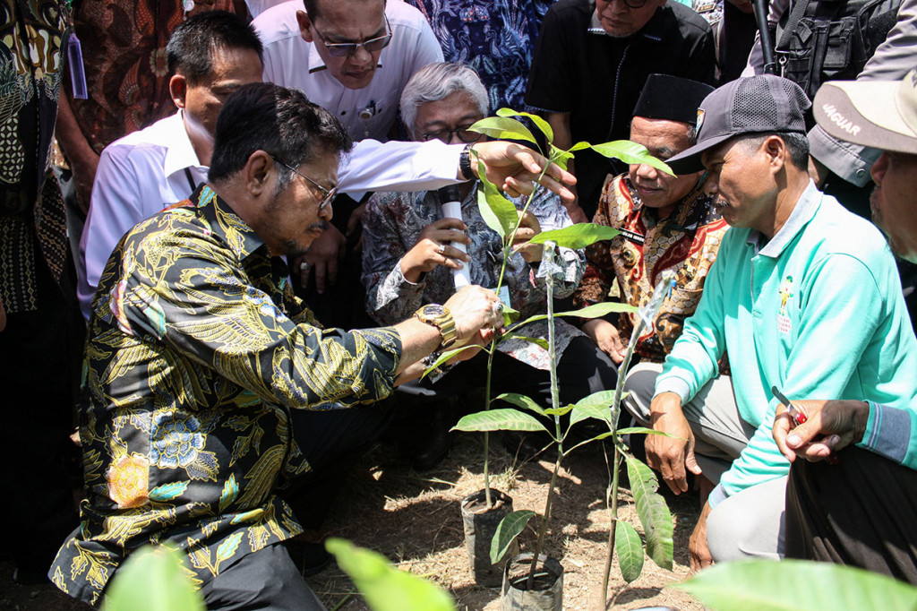 Pada kesempatan tersebut Mentan sempat mencangkok sambung pohon mangga saat kunjungan kerja di Intaslasi Penelitian dan Pengembangan Teknologi Pertanian di Kecamatan Grati, Pasuruan.