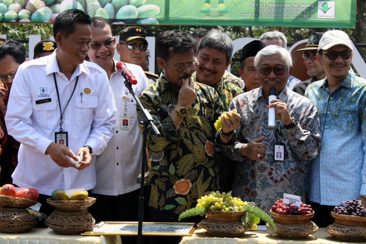 Mentan juga mencicipi berbagai jenis buah mangga. SYL juga memberi nama varietas unggul baru anggur dengan nama 'Janetes sp1'.