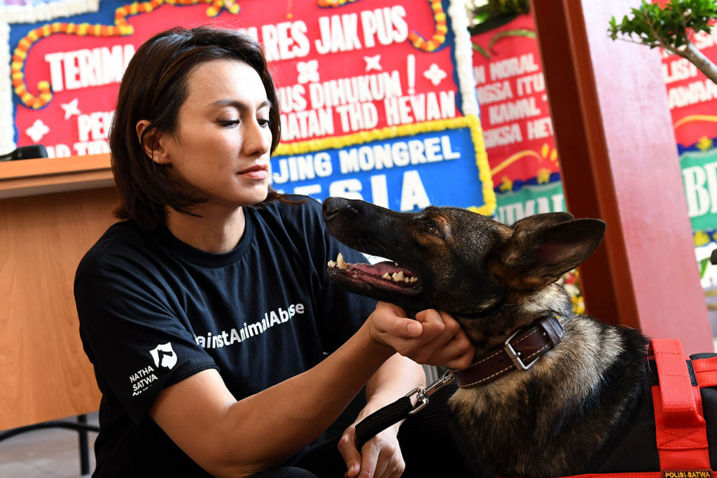 Sebagai apresiasi keberhasilan tersebut, Yaysan Natha Satwa Nusantara memberikan dua anjing jenis herder kepada Polres Metro Jakarta Pusat. Penyerahan dilakukan oleh artis sekaligus pendiri Natha Satwa Nusantara, Davina Veronica.