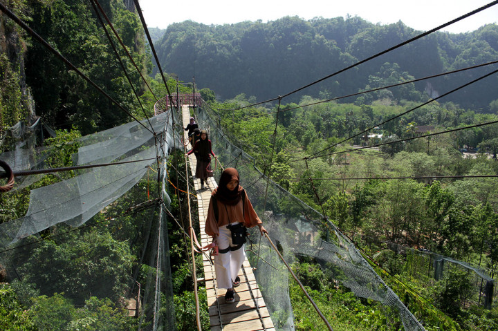 TN Babul dengan luas 43.700 hektar tersebut telah ditetapkan sebagai Taman Warisan Asean (Asean Heritage Park) pada Oktober 2019 di Laos. 