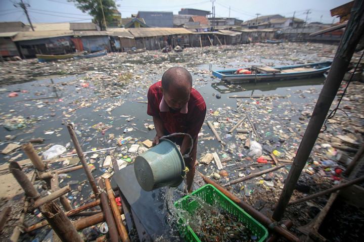 Seorang warga membersihkan kerang dagangannya dengan air Kali Apuran yang tercemar limbah di Dadap, Kabupaten Tangerang, Banten, Rabu, 20 November 2019. 