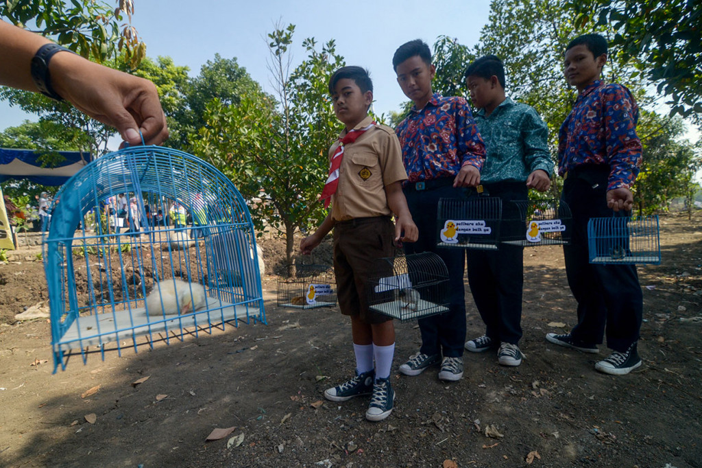 Program bagi-bagi anak ayam merupakan langkah Pemerintah Kota Bandung tersebut untuk membangun karakter siswa agar mengurangi ketergantungan terhadap gawai.