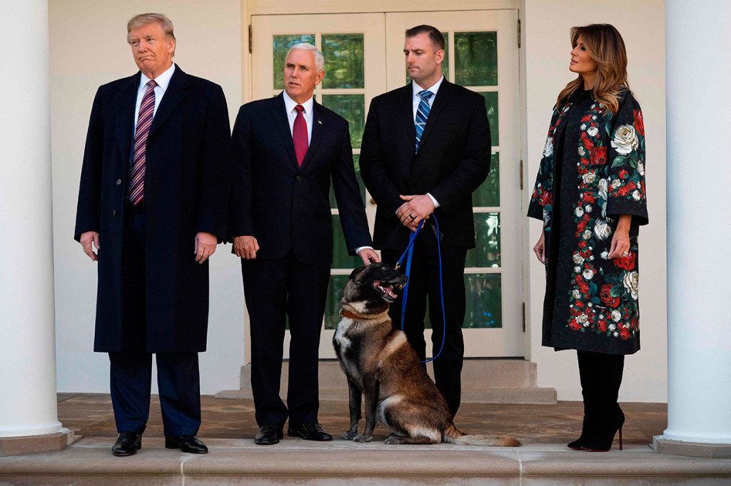 Menurut laporan AS terkait penyerangan terhadap Al-Baghdadi, bulan lalu, Conan sukses memojokkan pemimpin IS itu dalam sebuah terowongan buntu di tempat persembunyiannya di Suriah sebelum Al-Bahdadi meledakkan rompi bunuh diri yang membunuh dirinya dan dua anaknya.