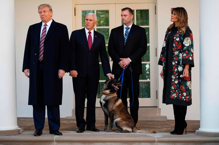 Menurut laporan AS terkait penyerangan terhadap Al-Baghdadi, bulan lalu, Conan sukses memojokkan pemimpin IS itu dalam sebuah terowongan buntu di tempat persembunyiannya di Suriah sebelum Al-Bahdadi meledakkan rompi bunuh diri yang membunuh dirinya dan dua anaknya.