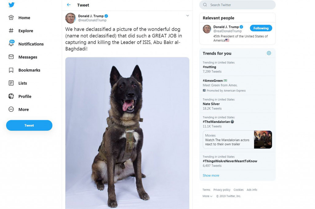 Identitas Conan telah dirahasiakan oleh militer AS, sampai kemudian dibuka oleh Trump, yang me-retweet gambar anjing tersebut setelah serangan di markas Baghdadi. Trump juga mengunggah sebuah foto hasil penyuntingan yang memperlihatkan dirinya memberikan medali Medal of Honor kepada Conan.