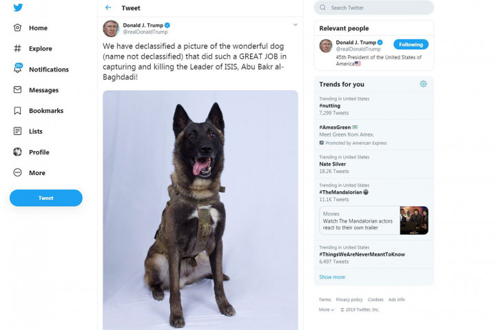 Identitas Conan telah dirahasiakan oleh militer AS, sampai kemudian dibuka oleh Trump, yang me-retweet gambar anjing tersebut setelah serangan di markas Baghdadi. Trump juga mengunggah sebuah foto hasil penyuntingan yang memperlihatkan dirinya memberikan medali Medal of Honor kepada Conan.