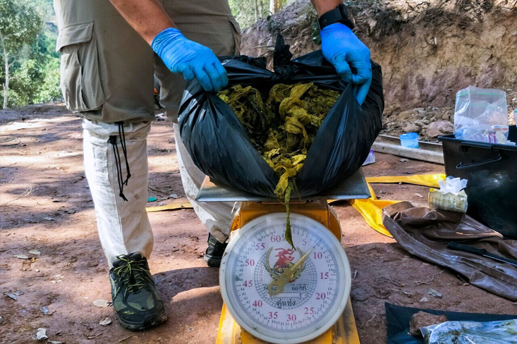 Penemuan rusa mati dengan perut penuh sampah plastik itu terjadi beberapa bulan setelah bayi duyung yang sakit dan akhirnya mati karena infeksi yang diperburuk oleh potongan-potongan plastik yang melapisi perutnya.