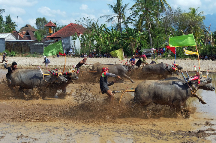 Sebanyak 29 peserta dari kalangan petani mengikuti acara tersebut.
