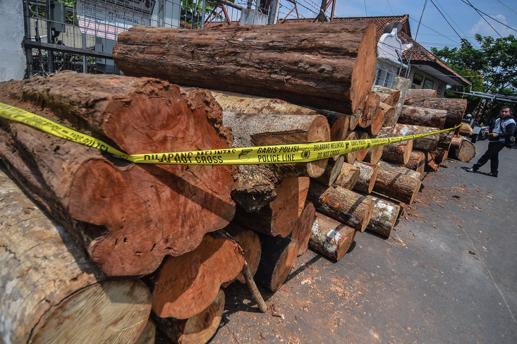 Polres Ciamis mengamankan satu tersangka illegal logging di lahan milik Perhutani seluas 13 hektare dengan tujuan membuka lahan baru yang nantinya akan ditanami tanaman kapol.