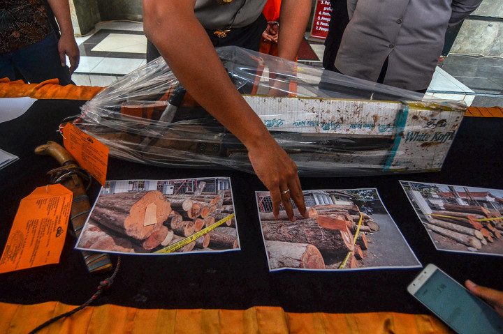Polisi juga mengamankan barang bukti berupa ratusan kayu gelondongan dan alat untuk melakukan pembalakan. Kerugian negara akibat aksi pembalakan liar tersebut mencapai Rp1,2 miliar.