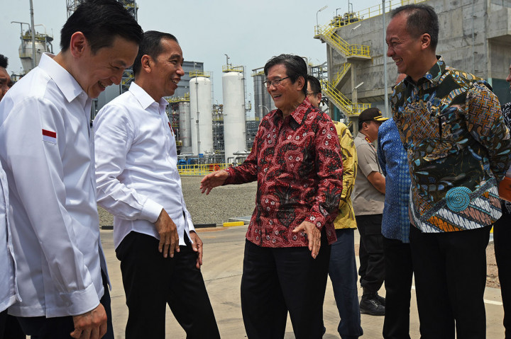 Dengan penambahan pabrik baru berkapasitas 400 ribu ton per tahun itu total kapasitas produksi Polyethylene CAP keseluruhan mencapai 736 ribu ton per tahun dari sebelumnya hanya 336 ribu ton per tahun, yang diharapkan menjadi substitusi impor sehingga mampu menghemat devisa negara mencapai Rp8 triliun dan menyerap 3.000 tenaga kerja selama masa pembangunannya.