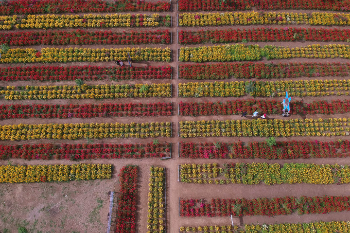 Kunjungan wisatawan semakin meningkat, dan rata-rata antara 200-500 pengunjung per hari. ANTARA FOTO/Wahdi Septiawan