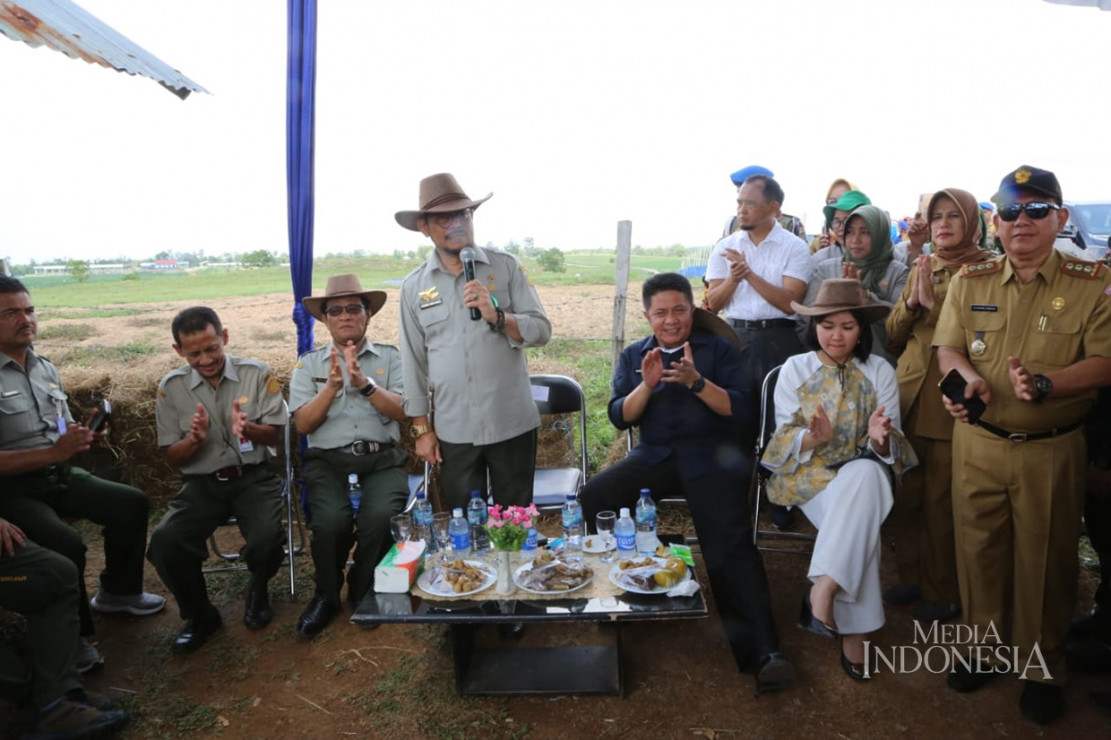 Mentan Syahrul Jadikan Sumsel Lumbung Bibit Sapi Unggul - Medcom.id
