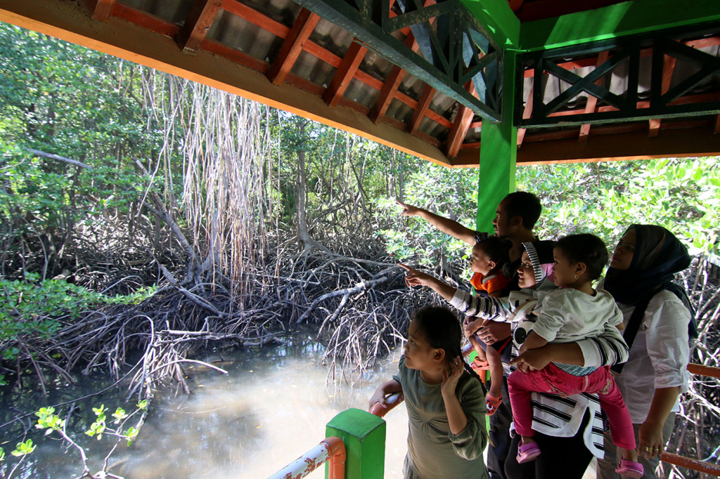 Wisatawan menikmati suasana hutan mangrove di Taman Nasional Baluran, Situbondo, Jawa Timur.