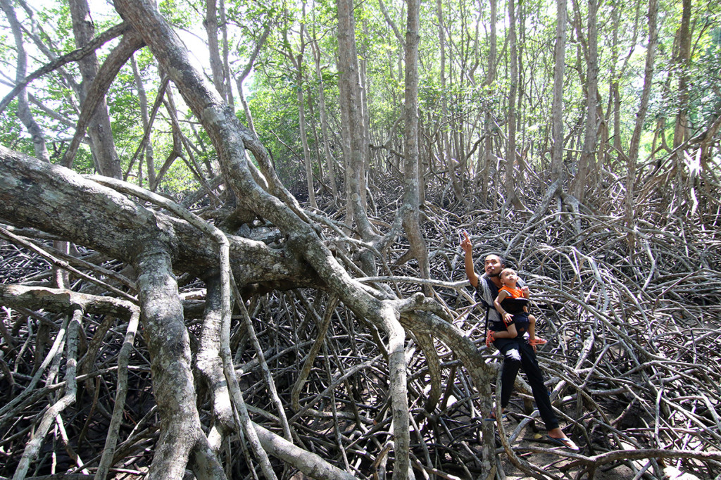 Tempat wisata di kawasan TN Baluran yang menawarkan beberapa destinasi seperti pantai, hutan mangrove dan savana itu, menjadi salah satu tempat favorit wisatawan untuk menghabiskan masa libur Natal dan Tahun baru 2020.