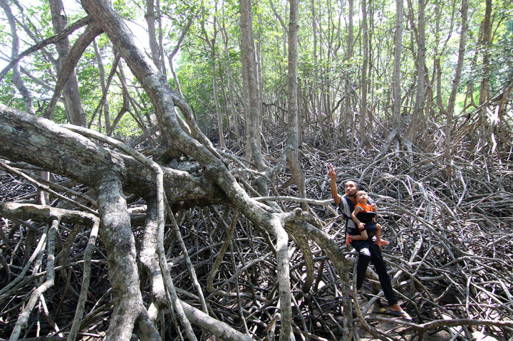 Tempat wisata di kawasan TN Baluran yang menawarkan beberapa destinasi seperti pantai, hutan mangrove dan savana itu, menjadi salah satu tempat favorit wisatawan untuk menghabiskan masa libur Natal dan Tahun baru 2020.
