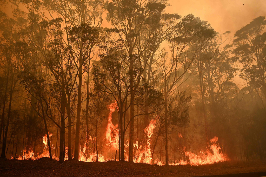 Api membakar sebagian hutan Australia Selatan karena suhu mencapai 40 derajat C (104 F) di sebagian besar negara bagian, Senin, 6 Januari 2020. AFP Photo/Peter Parks
