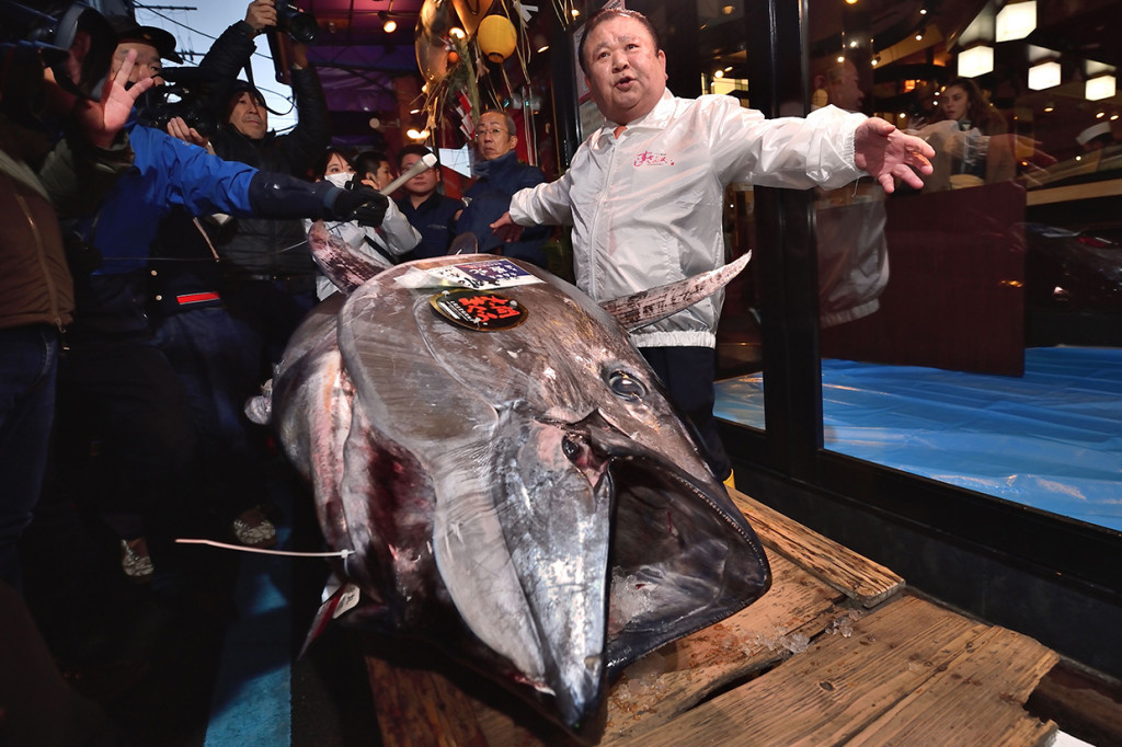 Kiyomura Corp. mengajukan penawaran pemenang 1,8 juta USD untuk tuna sirip biru seberat 276 kilogram yang ditangkap di Oma, Prefektur Aomori, pada lelang pertama tahun baru, di pasar ikan Toyosu.