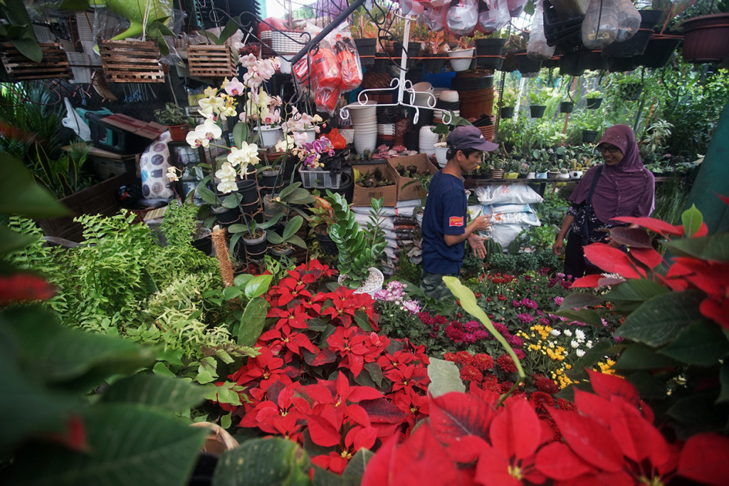 Pengunjung mengamati tanaman hias yang dijual di Pasar Satwa dan Tanaman Hias Yogyakarta (Pasty) di Yogyakarta, Jumat, 10 Januari 2020.