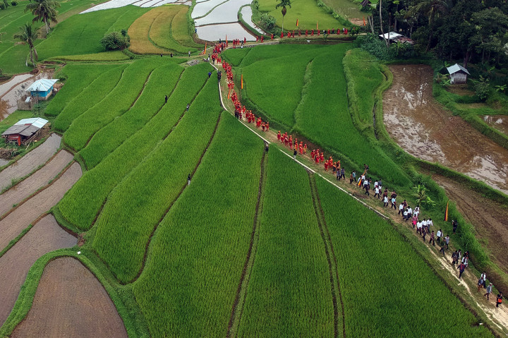 Tradisi tersebut melibatkan ratusan orang penghulu, Bundo Kanduang dan masyarakat untuk mengiringi peresmian penghulu, sekaligus membangkitkan kembali semangat berbudaya terutama bagi kaum muda di daerah itu.