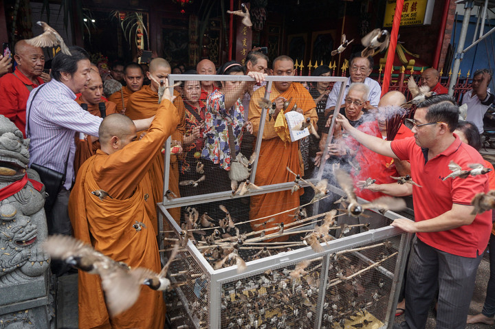 Ritual ini diakhiri dengan melepas sebanyak 999 ekor burung pipit dan ikan lele.