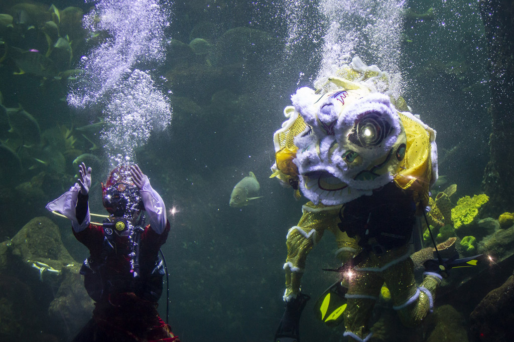 Pertunjukan tersebut digelar untuk menyambut perayaan Tahun Baru Imlek 2571.