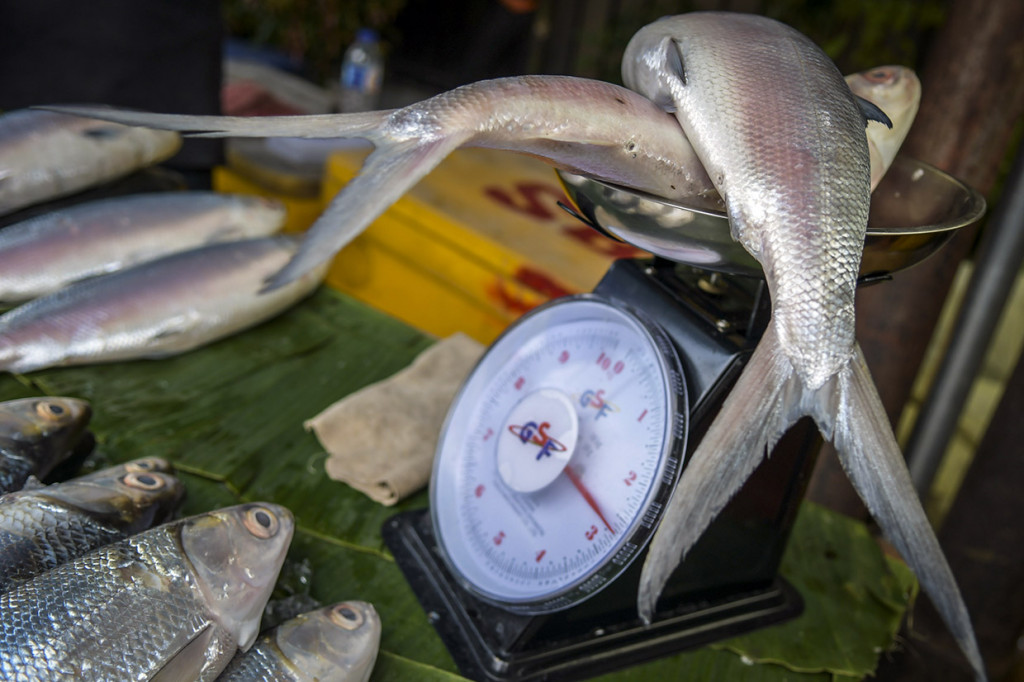 Warga keturunan Tionghoa meyakini bahwa mengkonsumsi ikan bandeng saat perayaan Hari Raya Imlek dapat membawa keberuntungan dan rezeki.