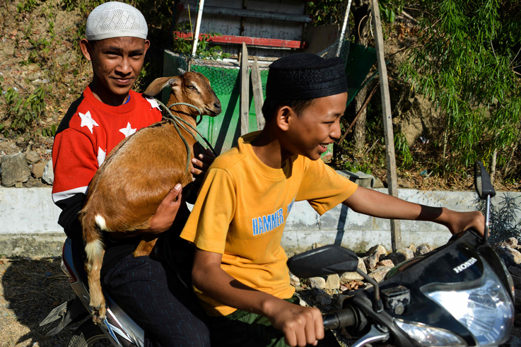 Warga membawa ternak ke lokasi area persawahan untuk memohon kepada Allah SWT agar diturunkan hujan.