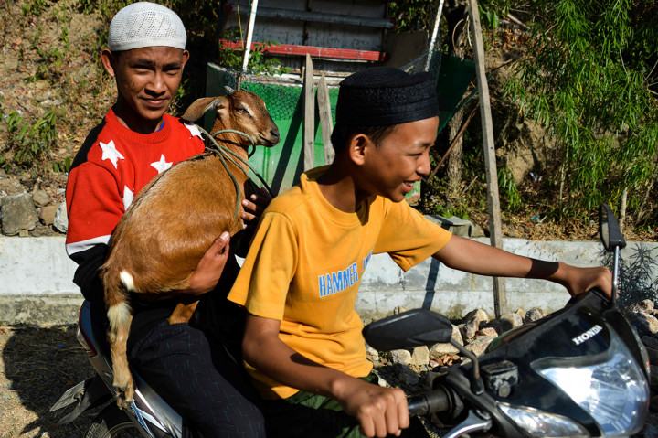 Warga membawa ternak ke lokasi area persawahan untuk memohon kepada Allah SWT agar diturunkan hujan.