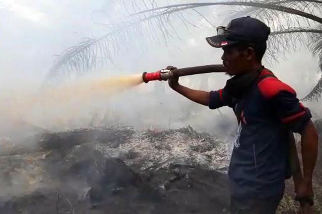 Dampak Kebakaran Lahan Perkebunan Kelapa Sawit Di Lah 0265