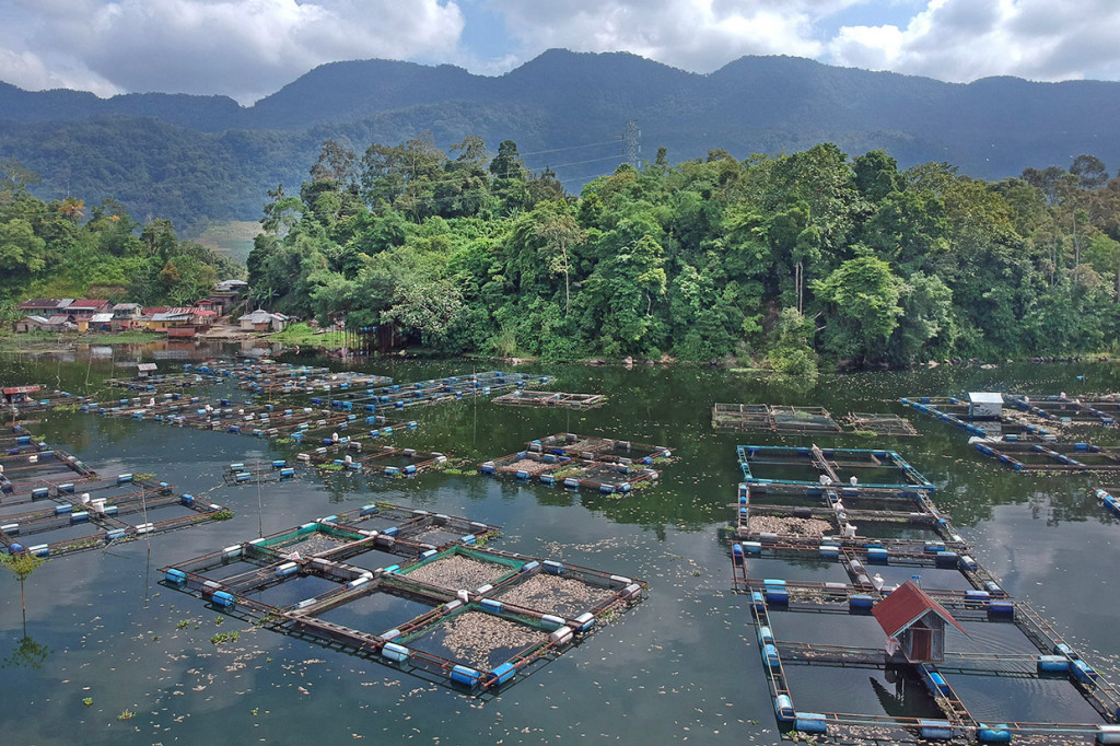 Data Pemkab Agam, kematian massal ikan keramba sebanyak 63 ton tersebut terjadi akibat angin kencang melanda daerah itu selama tiga hari terakhir, sehingga oksigen berkurang di dasar perairan.