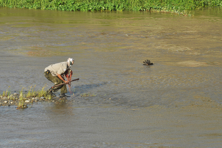 Untuk memancing kemunculan buaya terjerat ban, petugas menggunakan ayam sebagai umpan. Operasi penyelamatan melibatkan petugas gabungan dari Balai Konservasi Sumber Daya Alam (BKSDA) Sulawesi Tengah, BKSDA NTT, Polair Polda Sulawesi Tengah serta petugas dari Kementerian Lingkungan Hidup dan Kehutanan (KLHK).