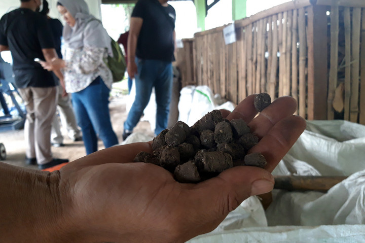 Petugas Pembangkit Listrik Tenaga Uap (PLTU) Jeranjang, Lombok Barat, memperlihatkan pelet yang menjadi campuran bahan bakar guna menghasilkan listrik di PLTU Jeranjang.