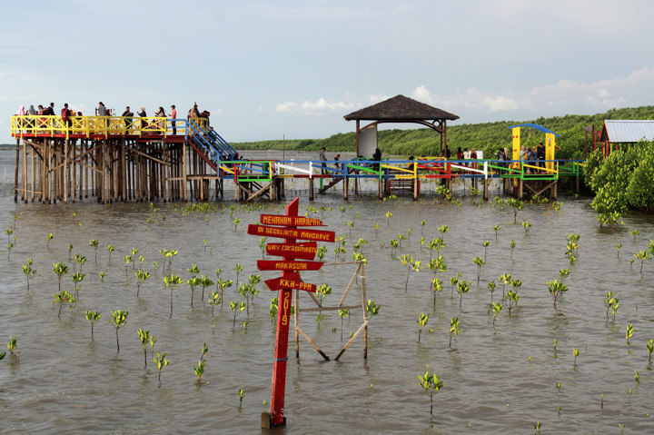 Pengunjung menikmati suasana hutan mangrove Lantebung di Makassar, Sulawesi Selatan.
