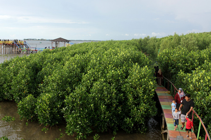 Kawasan hutan mangrove yang menjadi penahan abrasi tersebut menjadi salah satu tempat wisata di Makassar yang ramai dikunjungi wisatawan untuk berswafoto dan menikmati matahari tenggelam saat libur akhir pekan. 
