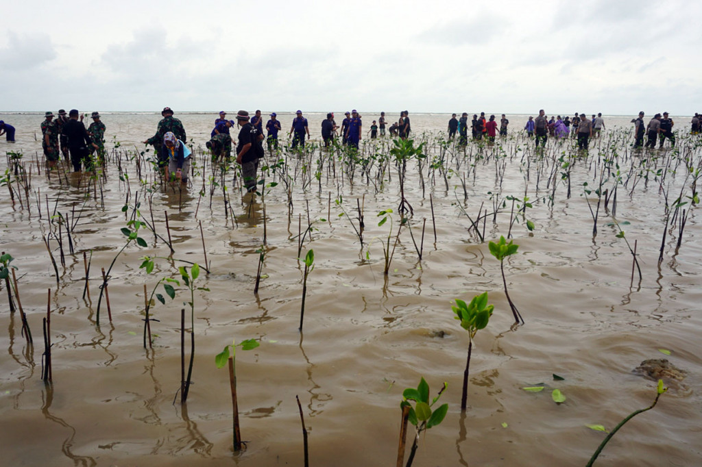 Irjen Rycko Amelza Dahniel menjelaskan, kegiatan penanaman mangrove jenis Rhizophpra (bakau) tersebut merupakan Program Kelestarian Hidup yang digelar serentak secara nasional sesuai dengan arahan Kapolri.