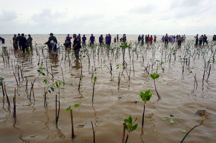 Irjen Rycko Amelza Dahniel menjelaskan, kegiatan penanaman mangrove jenis Rhizophpra (bakau) tersebut merupakan Program Kelestarian Hidup yang digelar serentak secara nasional sesuai dengan arahan Kapolri.