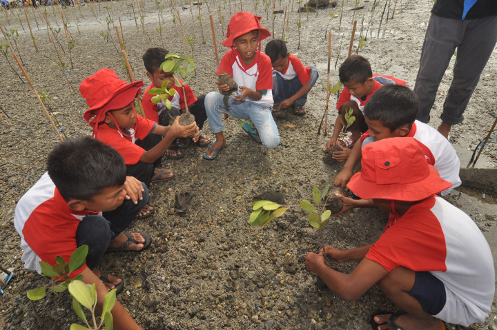 Sejumlah pelajar menanam bibit pohon mangrove di Pesisir Pantai Teluk Palu, Kelurahan Tondo, Palu, Sulawesi Tengah. ANTARA FOTO/Mohamad Hamzah 