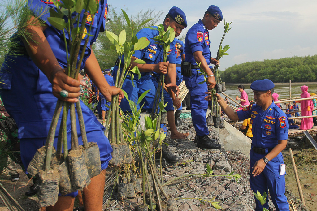 Polisi bersiap menanam mangrove di pesisir Romokalisari, Surabaya. ANTARA FOTO/Didik Suhartono