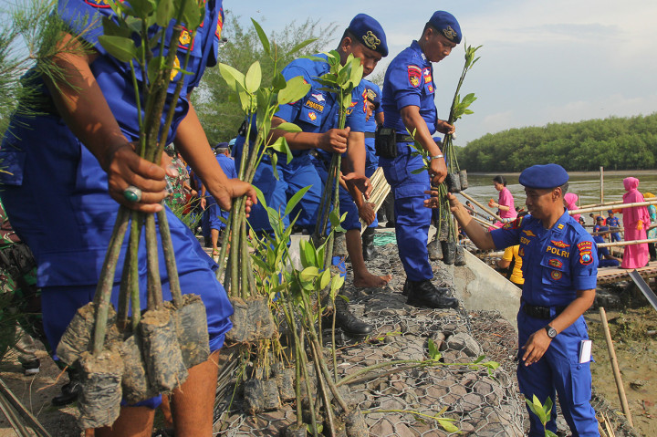 Polisi bersiap menanam mangrove di pesisir Romokalisari, Surabaya. ANTARA FOTO/Didik Suhartono