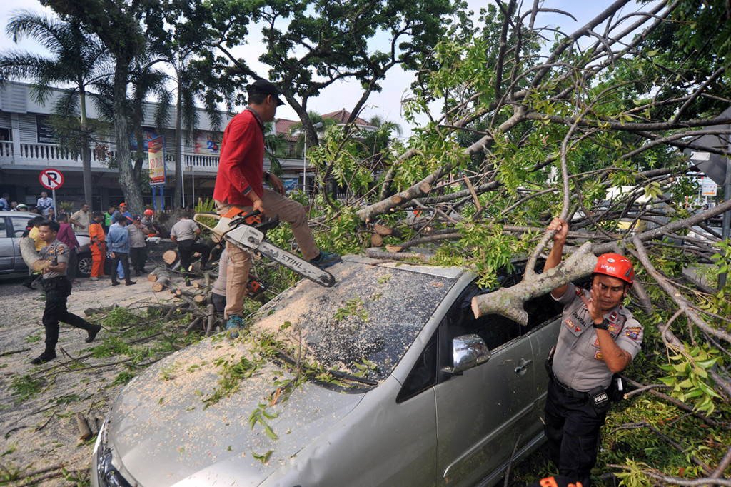 Data BPBD Padang, pohon tersebut menimpa dua unit mobil yang sedang parkir. Pohon tumbang diduga akibat lapuk dan sudah tua. Tak ada korban jiwa akibat kejadian tersebut.