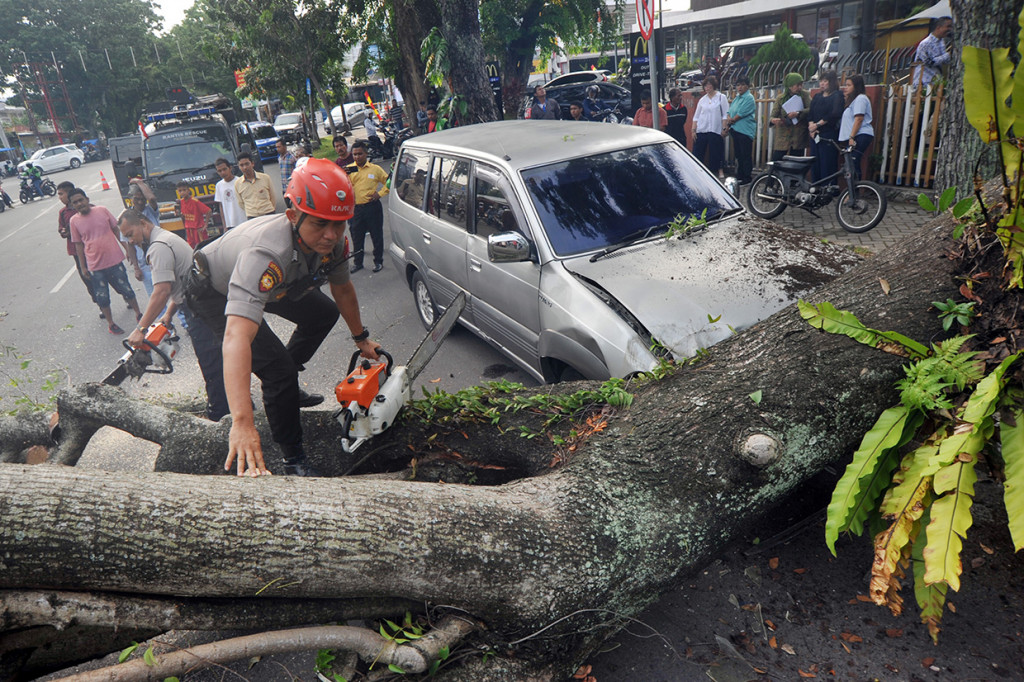 Data BPBD Padang, pohon tersebut menimpa dua unit mobil yang sedang parkir. Pohon tumbang diduga akibat lapuk dan sudah tua. Tak ada korban jiwa akibat kejadian tersebut.