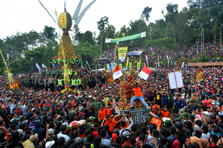 Ribuan pengunjung berebut buah durian saat pesta durian atau KenDuren di Lapangan Wonosalam, Kabupaten Jombang, Jawa Timur, Minggu, 8 Maret 2020. 