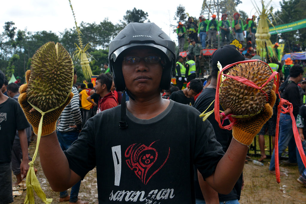 Pesta buah durian yang merupakan ritual tahunan para petani sembilan desa di Wonosalam, Jombang tersebut sebagai bentuk syukur atas panen yang melimpah.