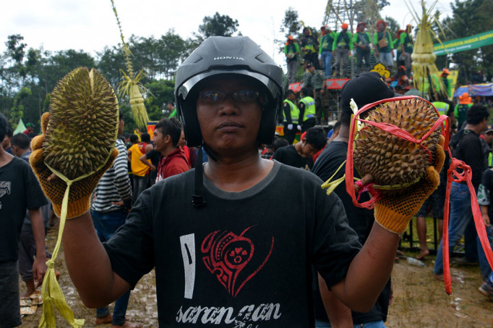Pesta buah durian yang merupakan ritual tahunan para petani sembilan desa di Wonosalam, Jombang tersebut sebagai bentuk syukur atas panen yang melimpah.