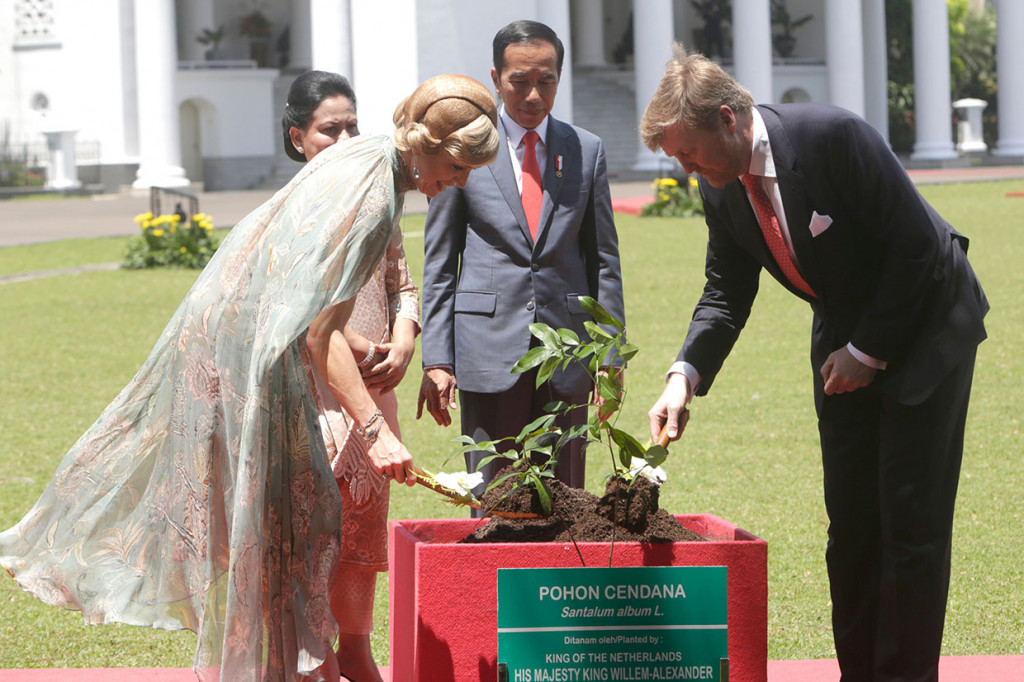 Raja-Ratu Belanda disaksikan Jokowi dan Ny Iriana menanam pohon cendana sebagai simbol persahabatan kedua negara.
