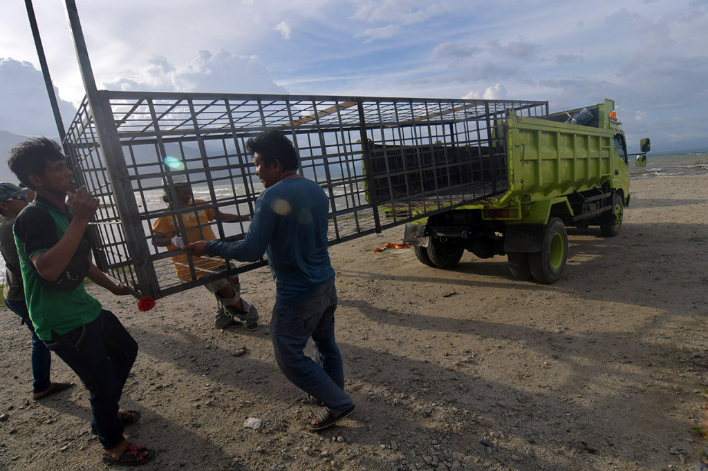 Pekerja menurunkan perlengkapan kandang jebakan yang akan digunakan untuk menangkap seekor buaya liar yang terjerat ban sepeda motor di muara Sungai Palu di Palu, Sulawesi Tengah, Kamis, 12 Maret 2020.